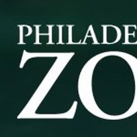 Philadelphia Zoo Temporarily Closes to the Public Photo