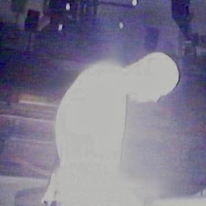 Sega Bodega Releases Live EP LIVE & ALTARED From Christ Church Set Photo