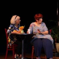 FUNNY SHORTS LIVE! to Return Featuring Florida Playwrights At Center For Performing Arts B Photo