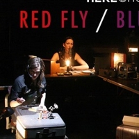 HERE@Home Presents a Stream of RED FLY/BLUE BOTTLE Photo