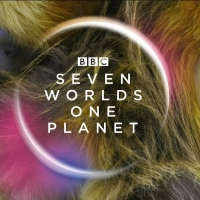 BBC America's SEVEN WORLDS, ONE PLANET to Now Premiere With Australia Episode