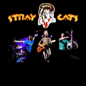The Stray Cats Returning to the Road for 2026 Summer Tour Photo