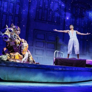 Broadway Beyond Louisville Review: Broadway in Cincinnati presents LIFE OF PI at The  Photo