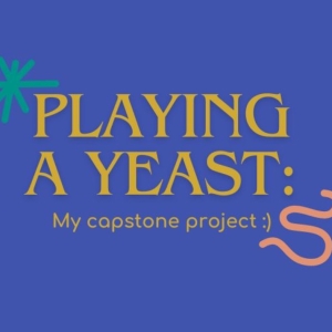 Student Blog: Playing a Yeast: My Capstone Project