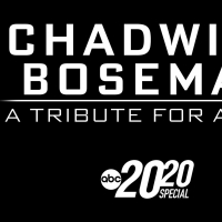 CHADWICK BOSEMAN: A TRIBUTE FOR A KING Now Streaming on Disney Plus