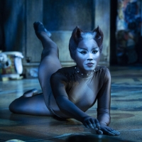 Review: CATS THE MUSICAL, International Tour