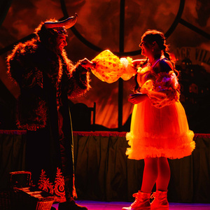 RAPUNZEL Panto to be Presented at the Chester Cultural Centre in 2026 Photo