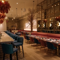 Review: REYNA NYC-The Distinctive, Stylish Retreat for Drinks and Tapas in the Union Photo