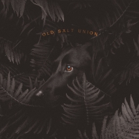 Old Salt Union Shares Third Song Off of New Album Photo