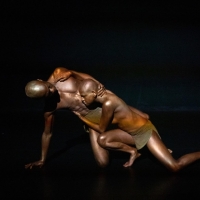 92Y Presents Harkness Dance Center Artist in Residence Photo