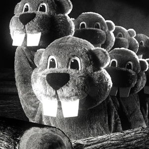 HUNDREDS OF BEAVERS Returning to Theaters for 2025 Holiday Tour Photo