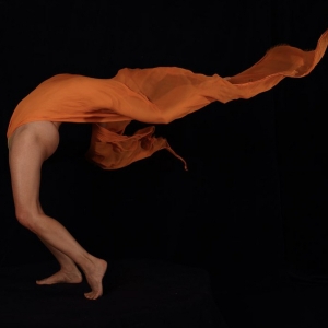 Georgia OKeeffe-Inspired THE ALCHEMISTS VEIL to Premiere At La MaMa Photo