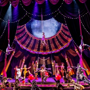 Review: CATS at Paramount Theatre Aurora, IL Photo