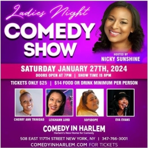 Comic Nicky Sunshine Hosts Ladies Night Showcase @ Comedy in Harlem Next Week Photo