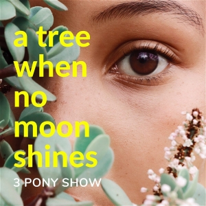 3 Pony Show and The Cannonball Festival Present A TREE WHERE NO MOON SHINES Photo