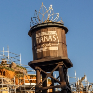 TIANA'S BAYOU ADVENTURE Takes Shape at Walt Disney World