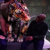Video: Go Behind LIFE OF PI's Puppetry on THE TODAY SHOW Photo
