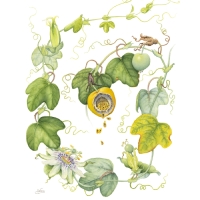 Pompano Beach Arts Presents FRUITION, An Exhibition Focused On Florida's Native…