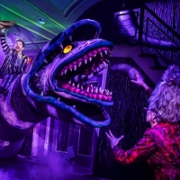 BWW Blog: Top 12 Spooky Szn Musical Numbers Photo
