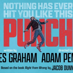 PUNCH: RESPONSES TO VIOLENT CRIME – WHERE STORYTELLING AND ART MEET POLICY is Coming 