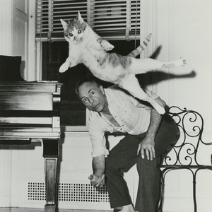 New NYPL Photo Exhibition Will Spotlight Animal Muses of Broadway and Beyond Photo