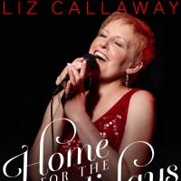 Van Wezel Announces Additional Performance - LIZ CALLAWAY: HOME FOR THE HOLIDAYS Photo