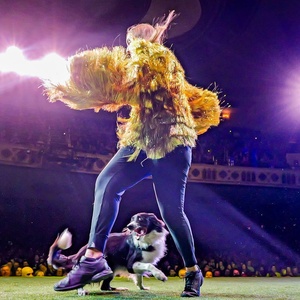 THE CANINE STARS Will Perform At The Grand In Wilmington Photo