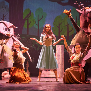 PHOTOS: LA BELLA DURMIENTE Y EL BOSQUE ESCONDIDO llega al Teatro La Latina estas Navidades Photo