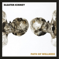 Sleater-Kinney Share New Track And Video For 'High In The Grass' Photo