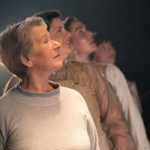 Review: MAYBE WE'LL FLY at Milwaukee Chamber Theatre