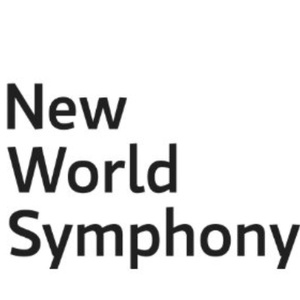 CHASING CRESCENDOS Documentary Series Spotlights New World Symphony Fellows Photo