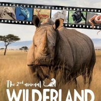 Wilderland Wildlife Film Festival Returns to UK and Ireland in Spring 2020