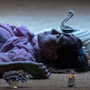 Review: THE GLASS MENAGERIE at the Baxter Theatre Centre Is Haunting, Fantastical and Photo