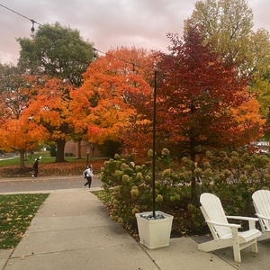 Student Blog: 5 Things I Am Grateful for in My BFA MT Program Photo