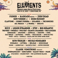 Elements Music Festival Announces 2022 Lineup With Kaskade (Redux), Rezz, FISHER, Sof Photo