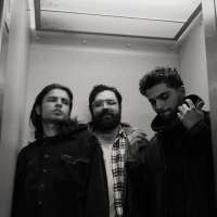 Horse Jumper Of Love Share 'John Song' Video