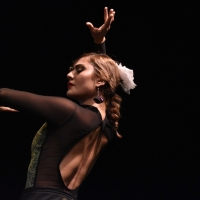 Compania Chuscales Y Mina Fajardo Presents Flamenco Fiesta 2023: Sleeping Woman Mountain