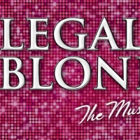 LEGALLY BLONDE: THE MUSICAL Opens Valentine's Day at the Wirtz Center Photo