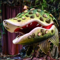 BWW Review: LITTLE SHOP OF HORRORS at Pittsburgh Public Theatre Doesn't Reinvent, But Video