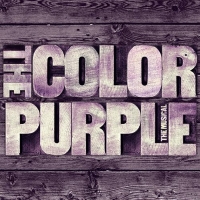 Everything You Need to Know About THE COLOR PURPLE Movie Video