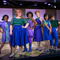 Review: REVIEW: MILWAUKEE REP'S 'BEEHIVE: THE 60S MUSICAL' at Milwaukee Rep