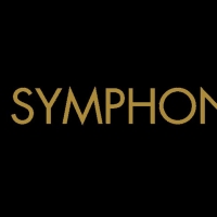 South Florida Symphony Orchestra Named Partner In The Arts For The Parker
