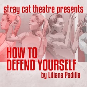 Review: HOW TO DEFEND YOURSELF at Stray Cat Theatre Photo