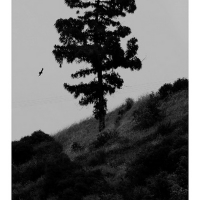 TCG Books Publishes EVENING PLAYS By Richard Maxwell
