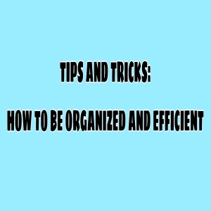 Student Blog: Tips and Tricks: How to be Organized and Efficient
