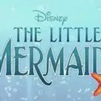 Disney Pauses Production on THE LITTLE MERMAID Photo