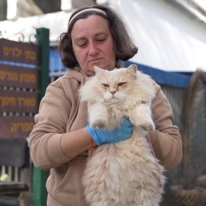 The Guardian Angel of the Cats Who Lost Everything on October 7 Photo