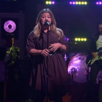 VIDEO: Kelly Clarkson Covers 'Borderline' Video