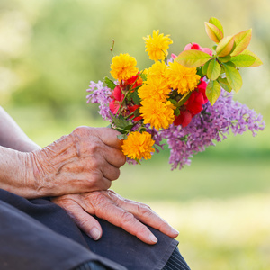 Stories on Stage to Present LATE BLOOMERS