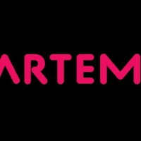 Artemisia Fall Fest Postponed Chicago
